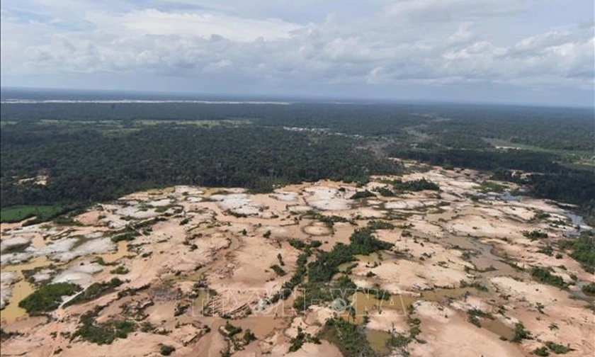Peru: Hơn 140.000 ha rừng Amazon bị tàn phá do khai thác vàng trái phép