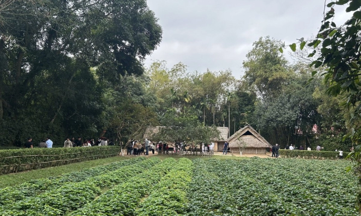 Tổng Bí thư Tô Lâm dâng hương tưởng nhớ Chủ tịch Hồ Chí Minh tại Nghệ An