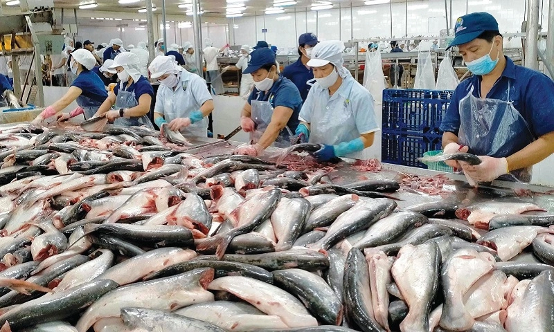 Thủy sản Việt Nam lần đầu tổ chức triển lãm khoa học công nghệ quốc tế tại TPHCM