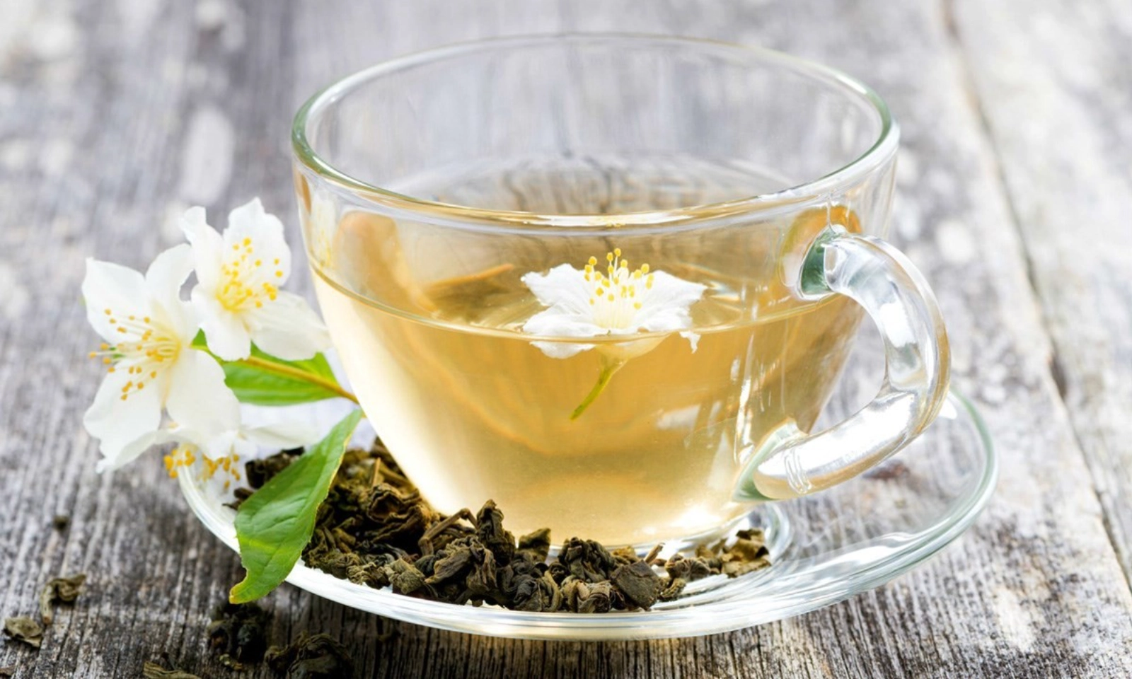 Những lợi ích của trà hoa nhài đối với sức khỏe