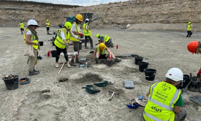 Phát hiện dấu chân khủng long 166 triệu năm tuổi tại mỏ đá Anh