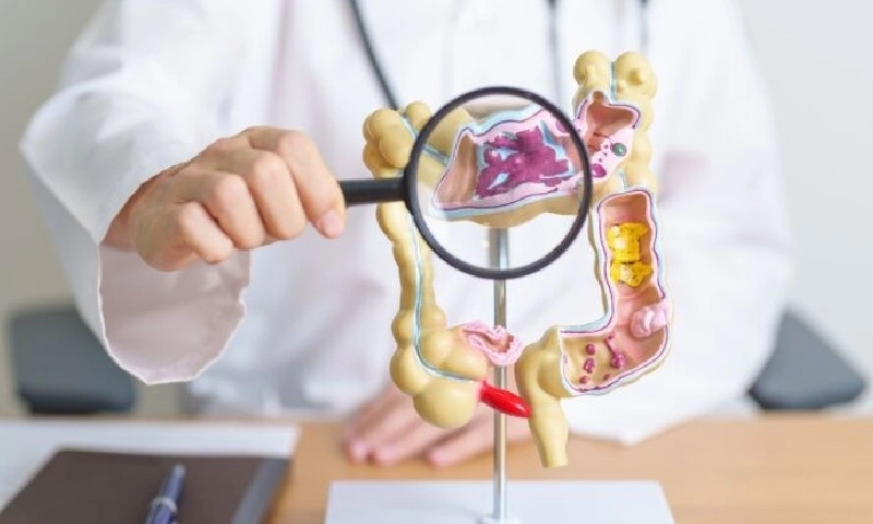 Phát triển thiết bị in sinh học dạng viên thuốc điều trị loét đường tiêu hóa