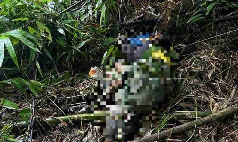 Điều tra vụ người đàn ông nghi bị voi rừng tấn công tử vong ở Đắk Wil