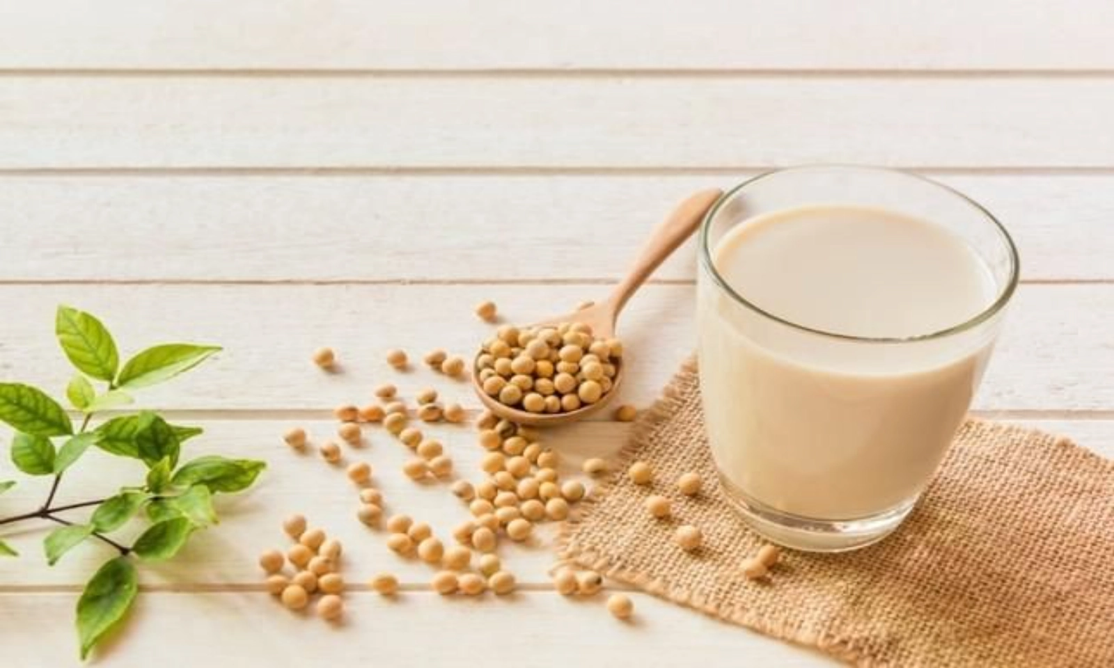 Những điều lưu ý khi uống sữa đậu nành