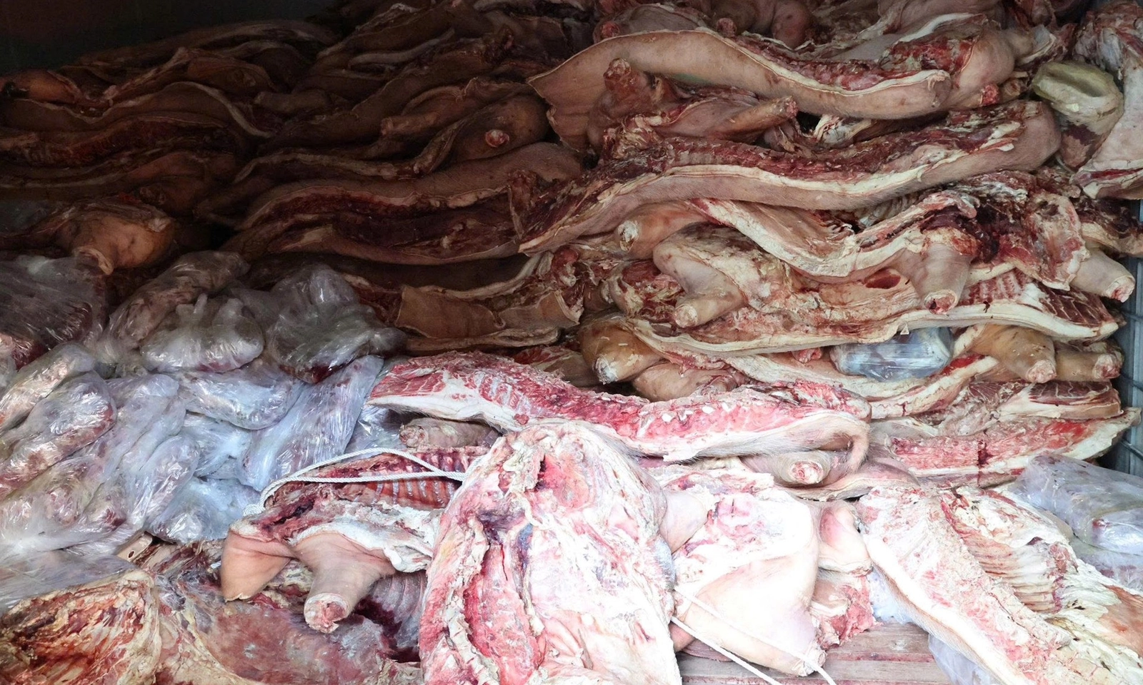 Bắt đối tượng trữ đông gần 38 tấn thịt nhiễm dịch tả heo Châu Phi để tuồn ra thị trường