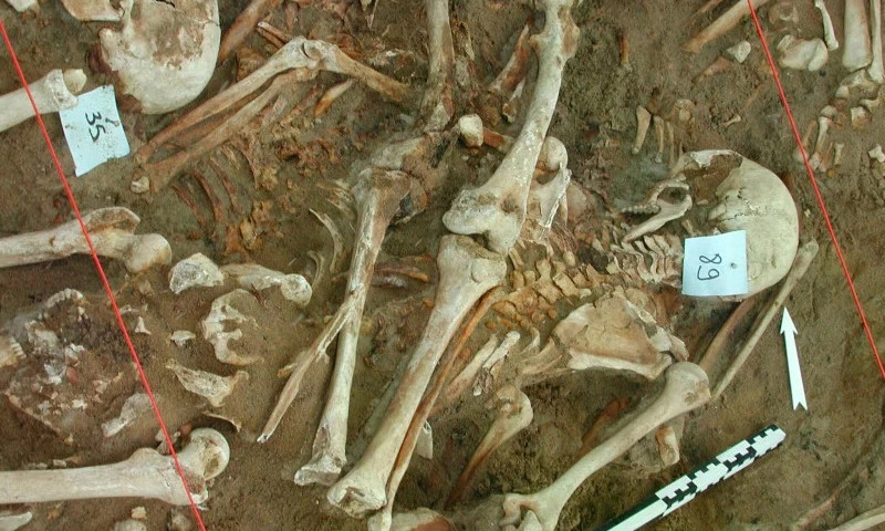 DNA hé lộ nguyên nhân mới khiến quân đội Napoleon diệt vong