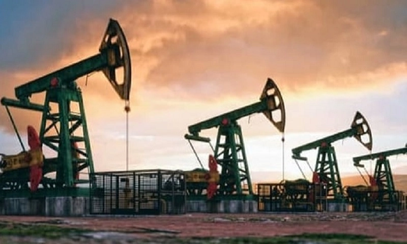 Iraq đàm phán hạn ngạch với OPEC, duy trì sản lượng thấp hơn năng lực thực tế