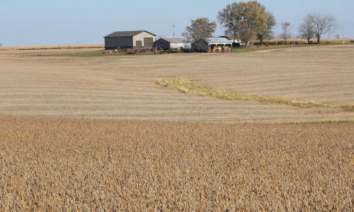 Trung Quốc cam kết mua 25 triệu tấn đậu nành Mỹ mỗi năm trong 3 năm tới