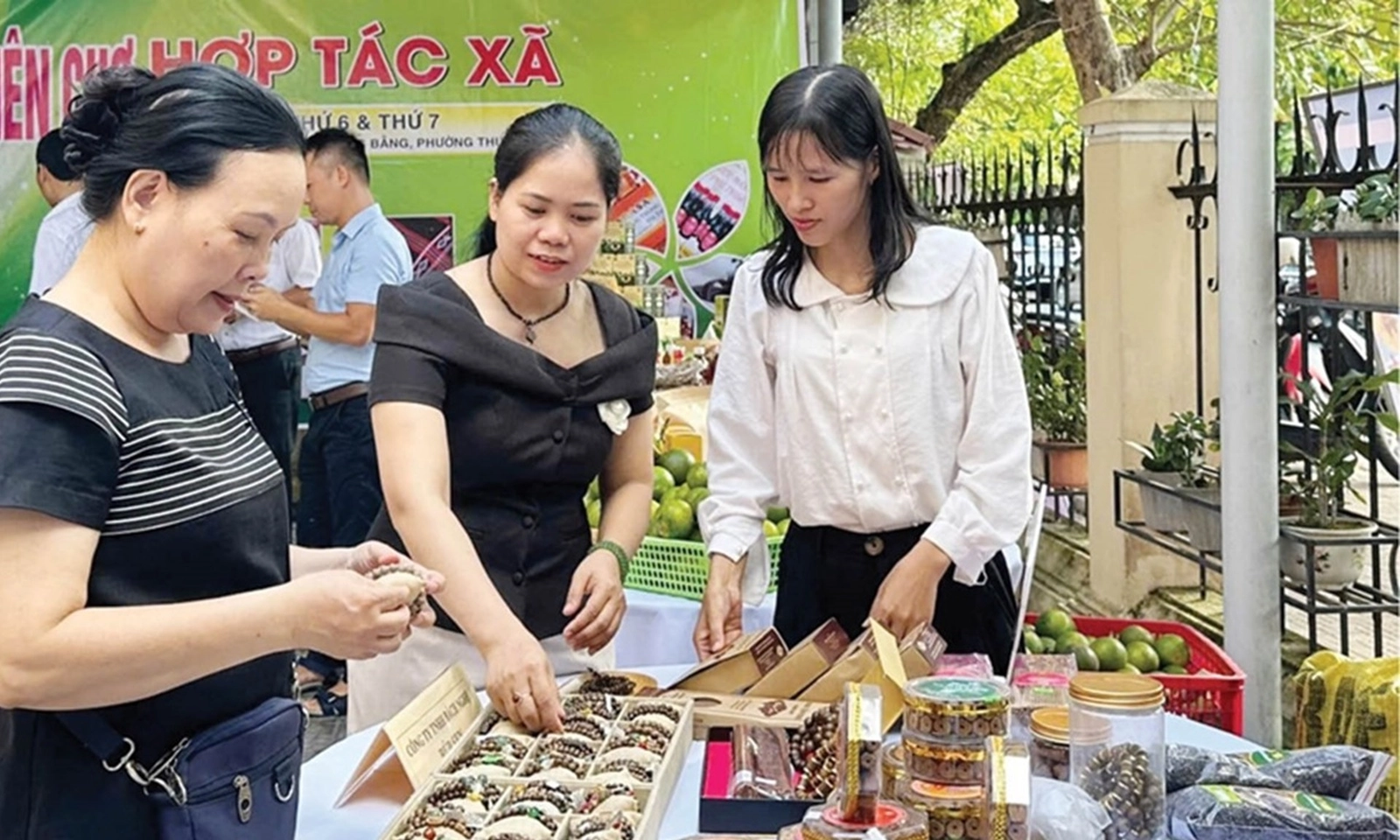 Từ năm 2026, hỗ trợ tất cả phụ nữ có nhu cầu khởi nghiệp