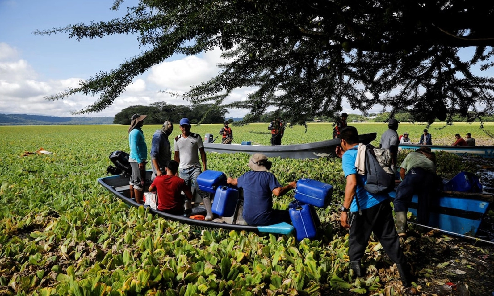 “Thảm họa xanh” đang đe dọa sinh kế của hàng nghìn người dân El Salvador