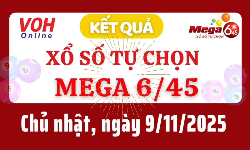 Vietlott MEGA 645 9/11 - Kết quả xổ số Vietlott hôm nay chủ nhật 9/11/2025