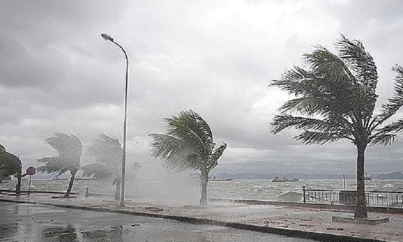 Điểm tin sáng 5/11: Đắk Lắk cho học sinh nghỉ học tránh bão | Xử lý vụ hai xe máy trùng biển số