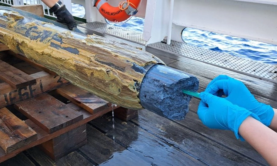 Phát hiện hệ sinh thái vi sinh vật sống trong “tử địa” đáy Thái Bình Dương