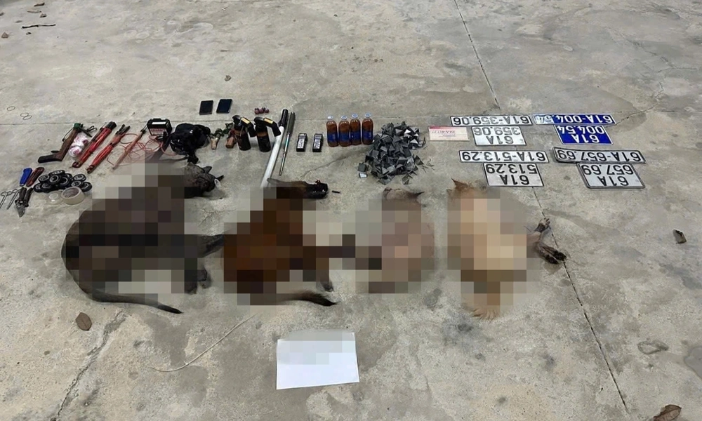 Bắt giữ nhóm trộm chó bằng ô tô