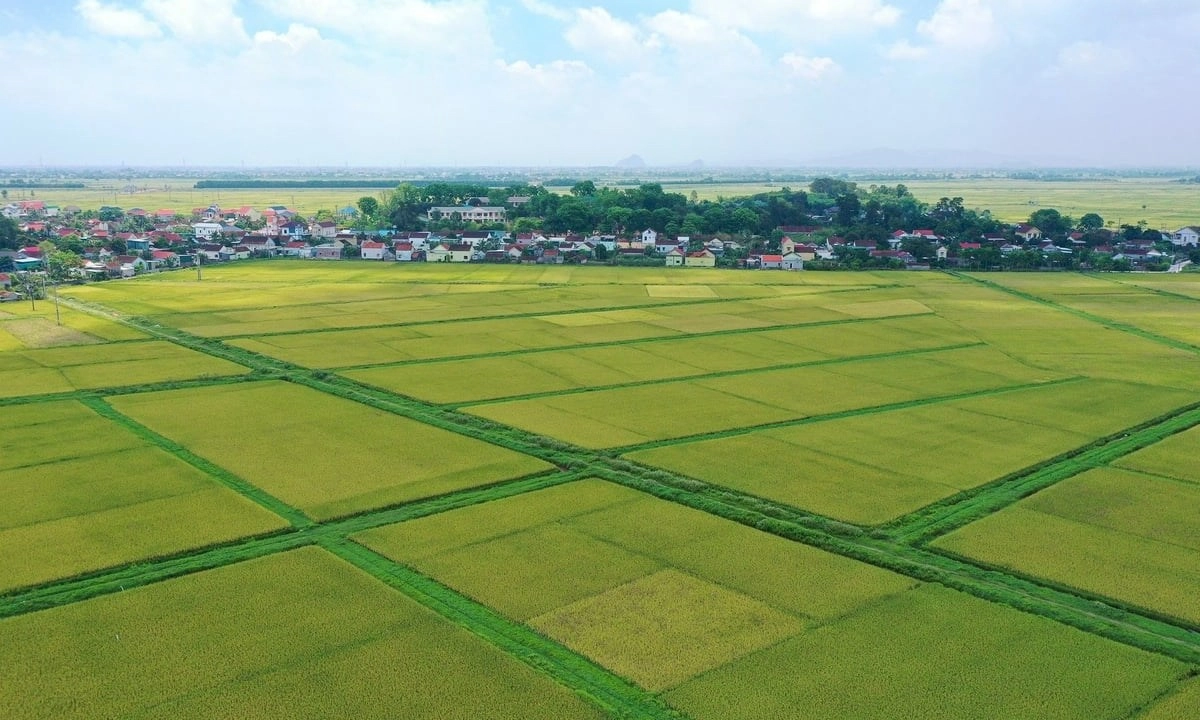 Kéo dài thời hạn miễn thuế sử dụng đất nông nghiệp đến năm 2030