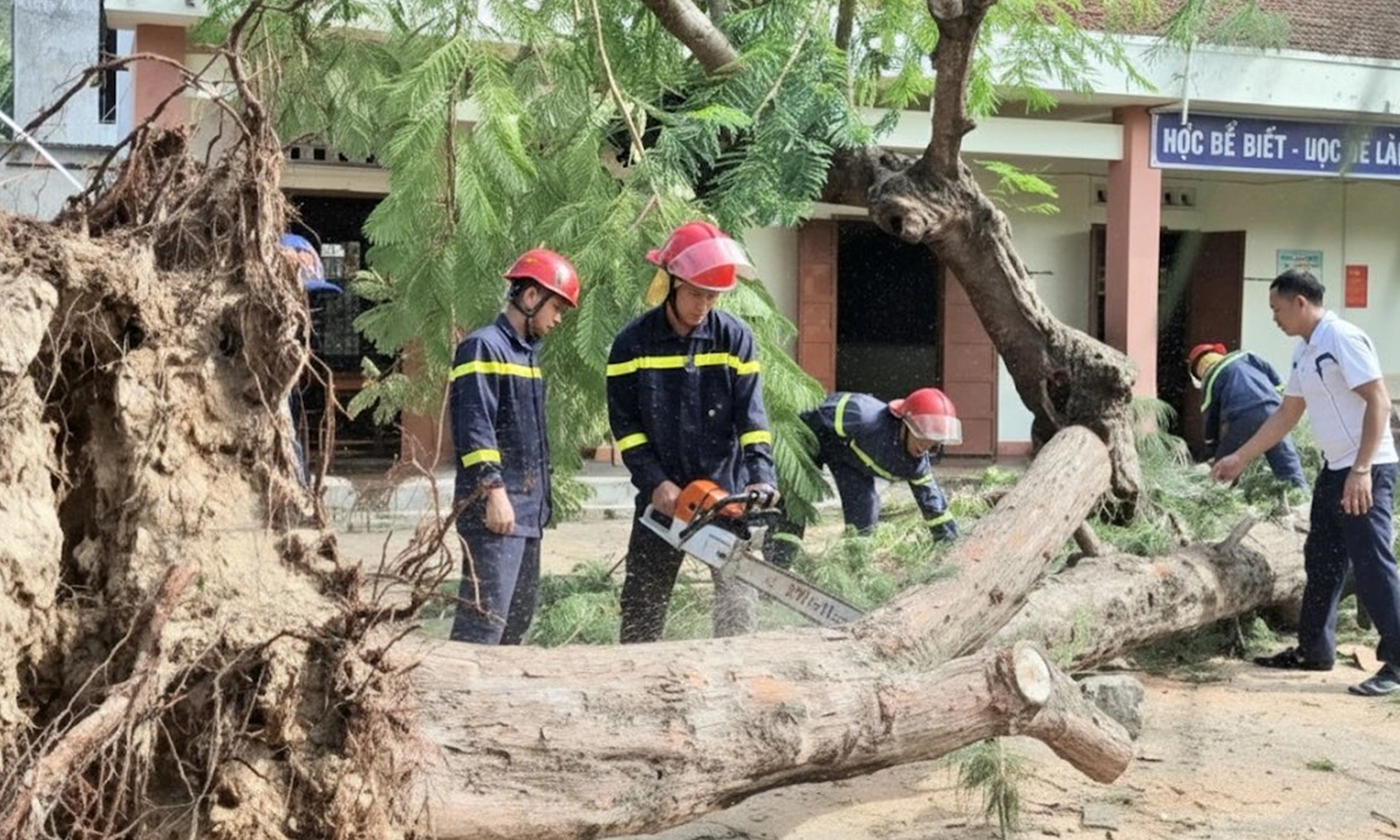 Hỗ trợ khẩn cấp 700 tỷ đồng để khắc phục hậu quả thiên tai tại Huế, Quảng Ngãi, Gia Lai, Đắk Lắk