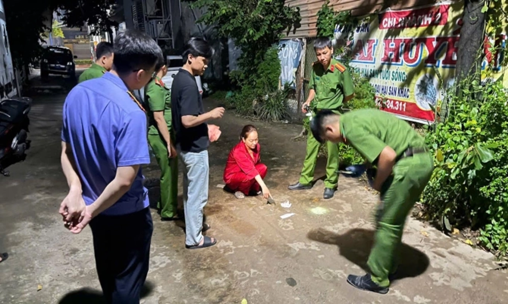 Giúp việc lấy trộm kim cương, vàng của chủ rồi giấu vào bụi cây