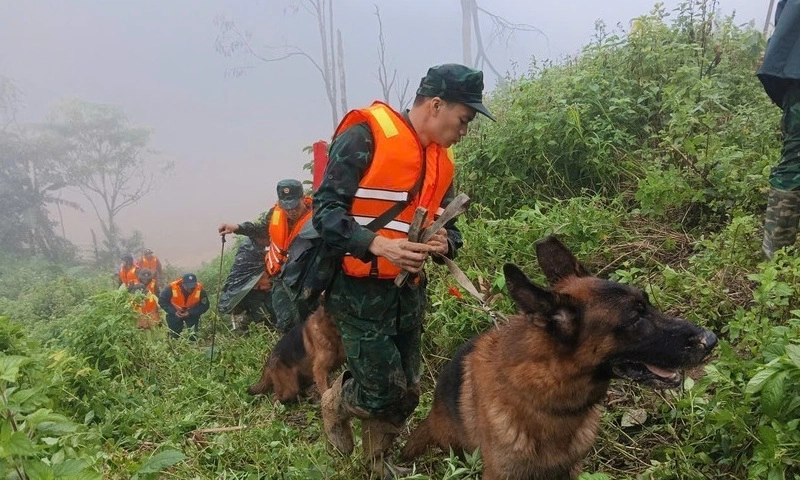 Đà Nẵng huy động tối đa lực lượng tìm kiếm 3 nạn nhân mất tích trong vụ sạt lở cách đây 2 ngày