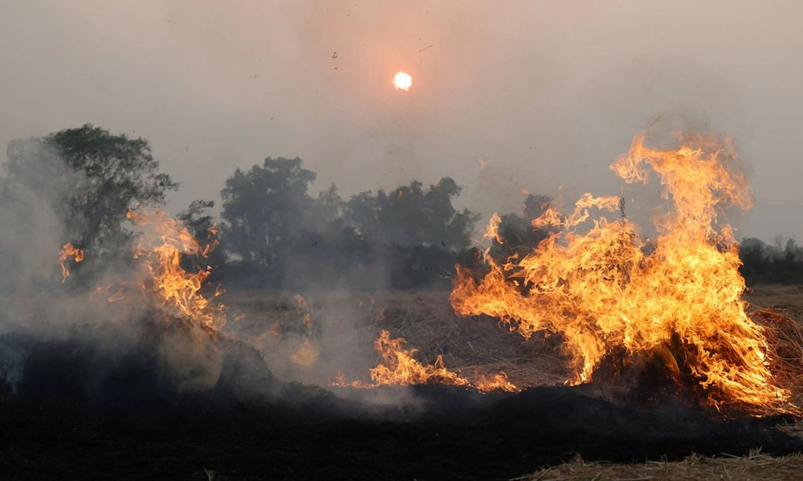 Nông dân Punjab tái chế rơm rạ, góp phần giảm ô nhiễm không khí tại Ấn Độ