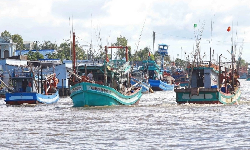 Phạt tới 700 triệu đồng nếu không ghi nhật ký khai thác thủy sản