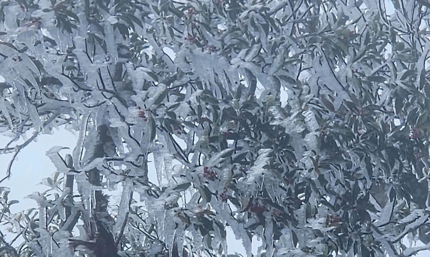 Miền Bắc xuất hiện băng giá đầu mùa trên đỉnh Phu Sa Phìn và Ngũ Chỉ Sơn