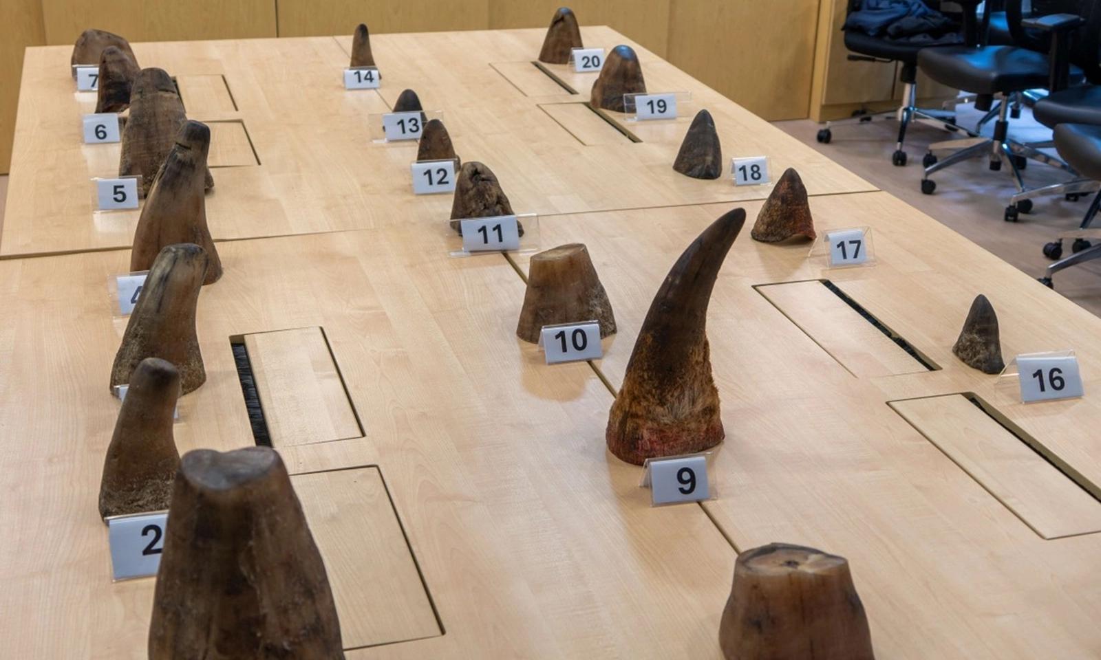 Singapore thu giữ số lượng sừng tê giác kỷ lục, trị giá gần 900.000 USD