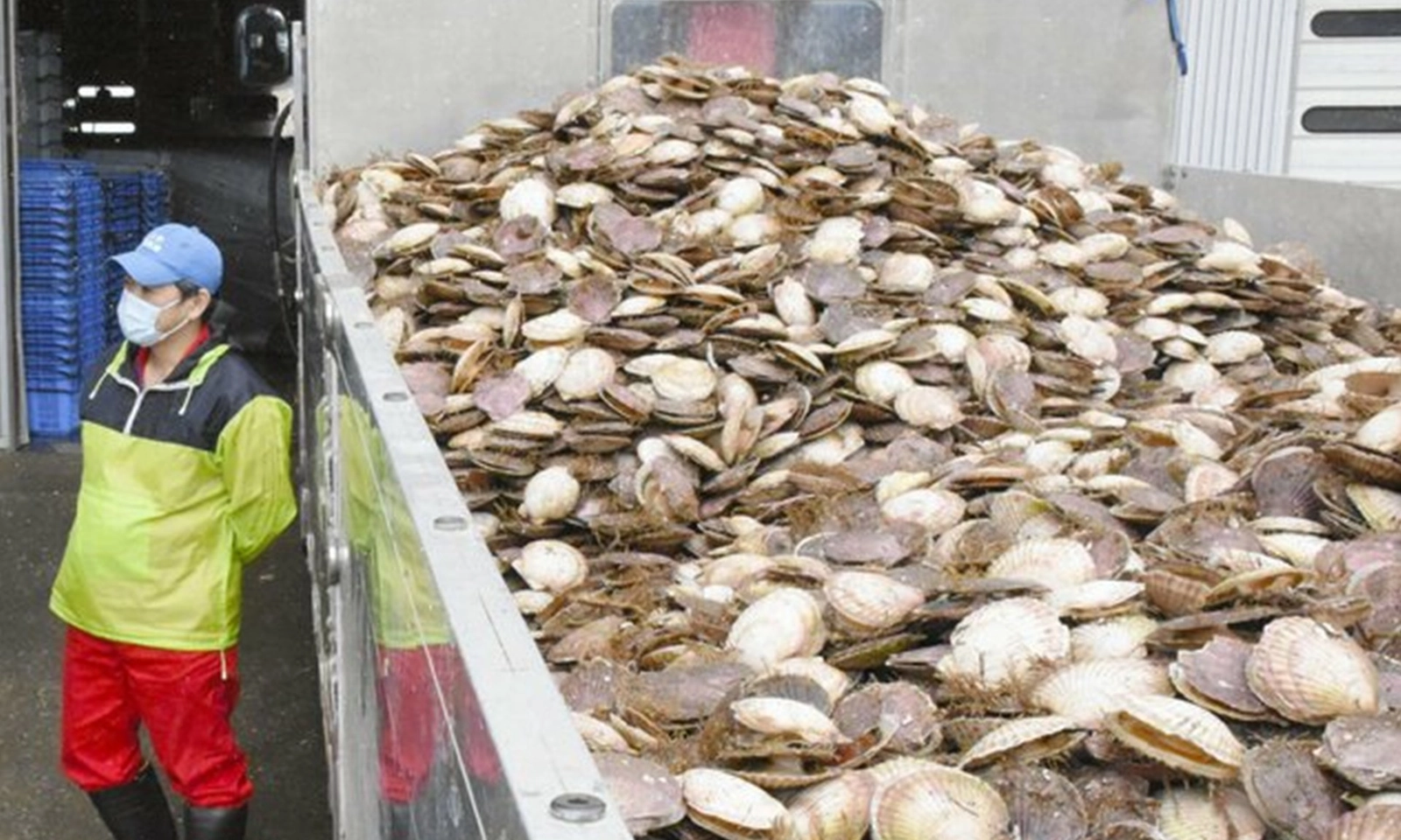 Trung Quốc tái áp đặt lệnh đình chỉ nhập khẩu hải sản từ Nhật Bản