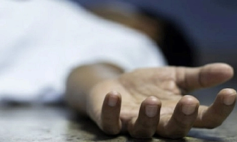 Cụ ông bị ong đốt hơn trăm vết đã tử vong