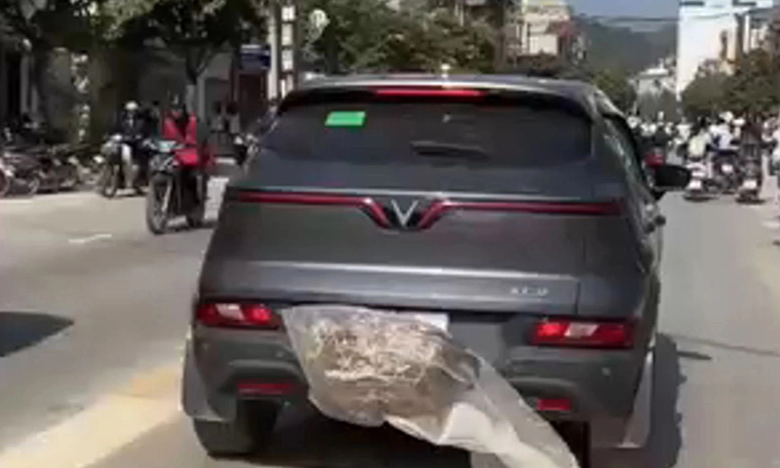 Cao Bằng: Xử phạt tài xế buộc lồng gà che biển số