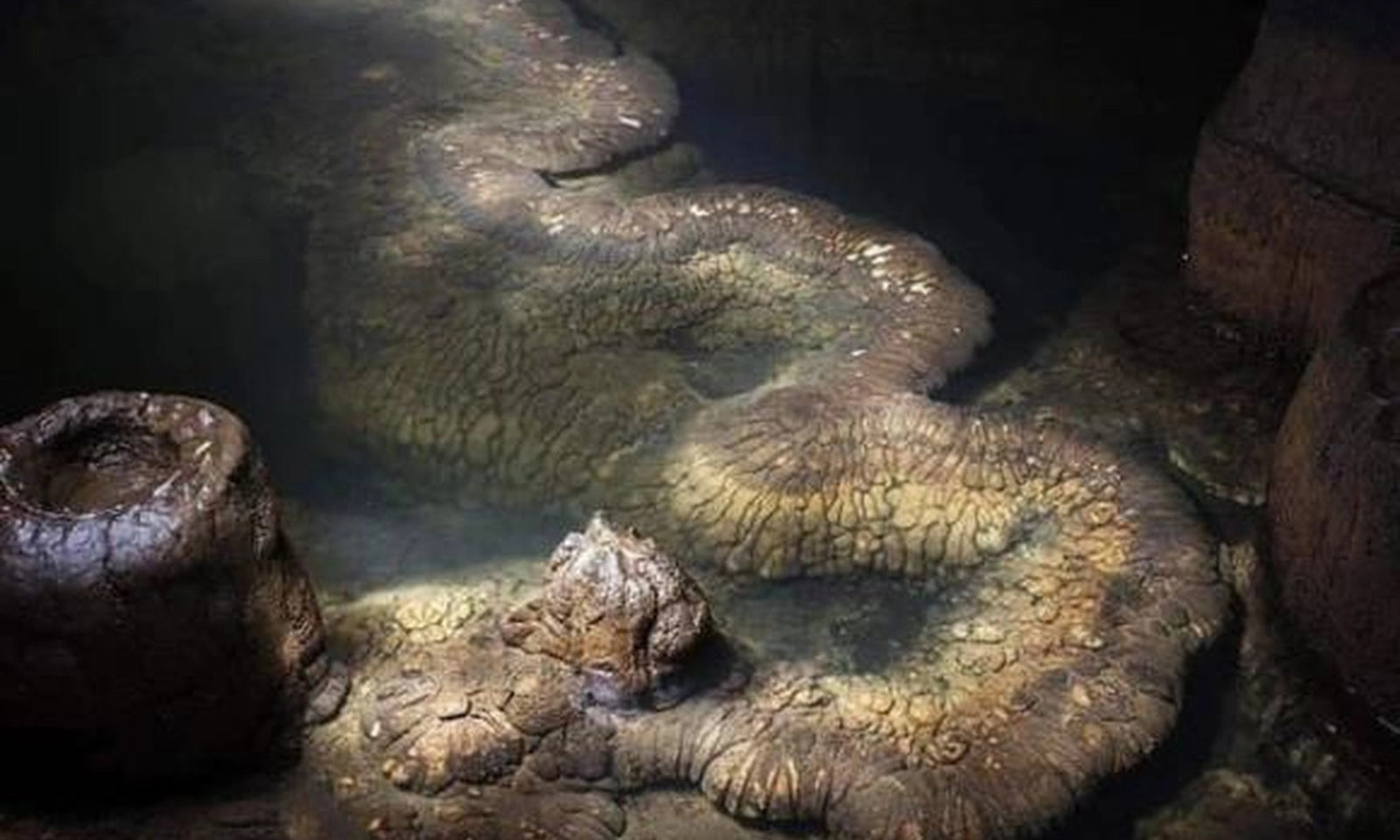 Khối đá hình rồng dài 13m trong hang động khiến giới khoa học chú ý