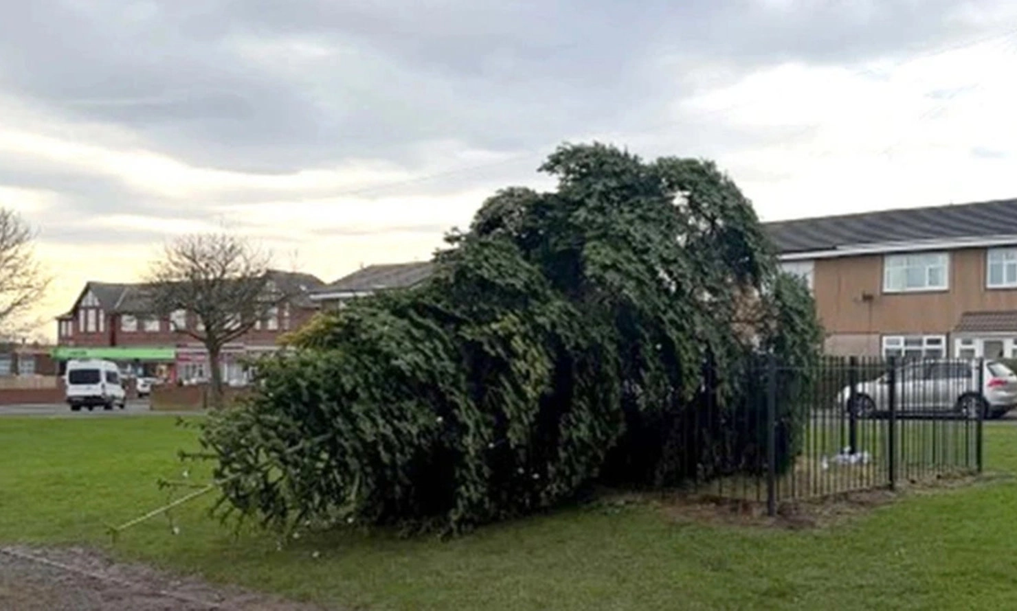 Cây thông Noel bị đốn hạ trong đêm khiến dân làng ở Anh phẫn nộ