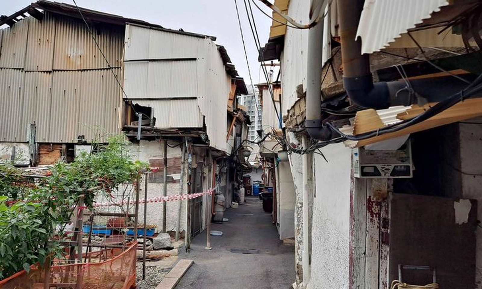 Giới trẻ Hàn Quốc đề xuất giảm chi phí cưới, tạo việc làm để cứu tỉ lệ sinh