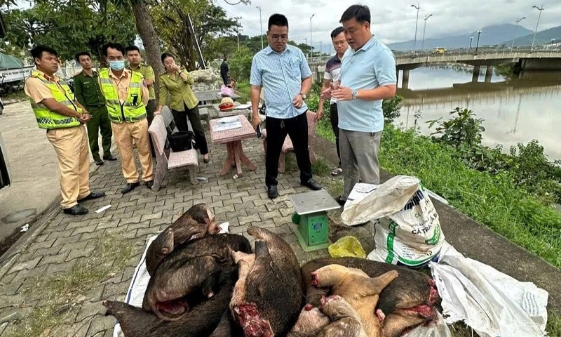 Xe khách chở hàng loạt thùng xốp, bao tải nghi thịt động vật hoang dã