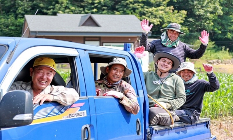 Hàn Quốc sẽ giảm hạn ngạch thị thực E-9 xuống 80.000 suất trong năm 2026