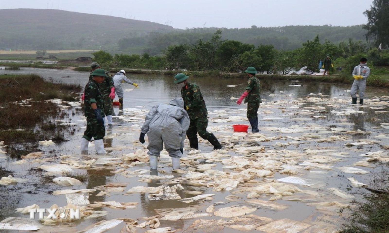 Dầu tràn từ kho xăng ở Quảng Ngãi, hàng chục hộ dân bị ảnh hưởng