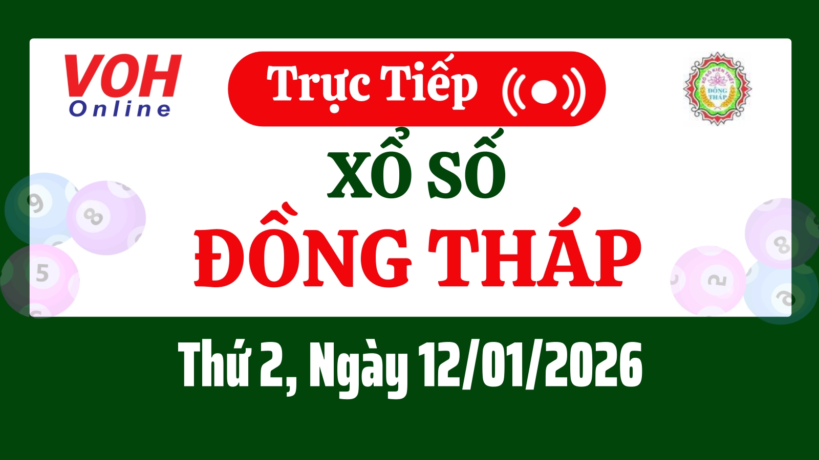 XSDT 12/1 - Kết quả xổ số Đồng Tháp hôm nay thứ 2 ngày 12/1/2026