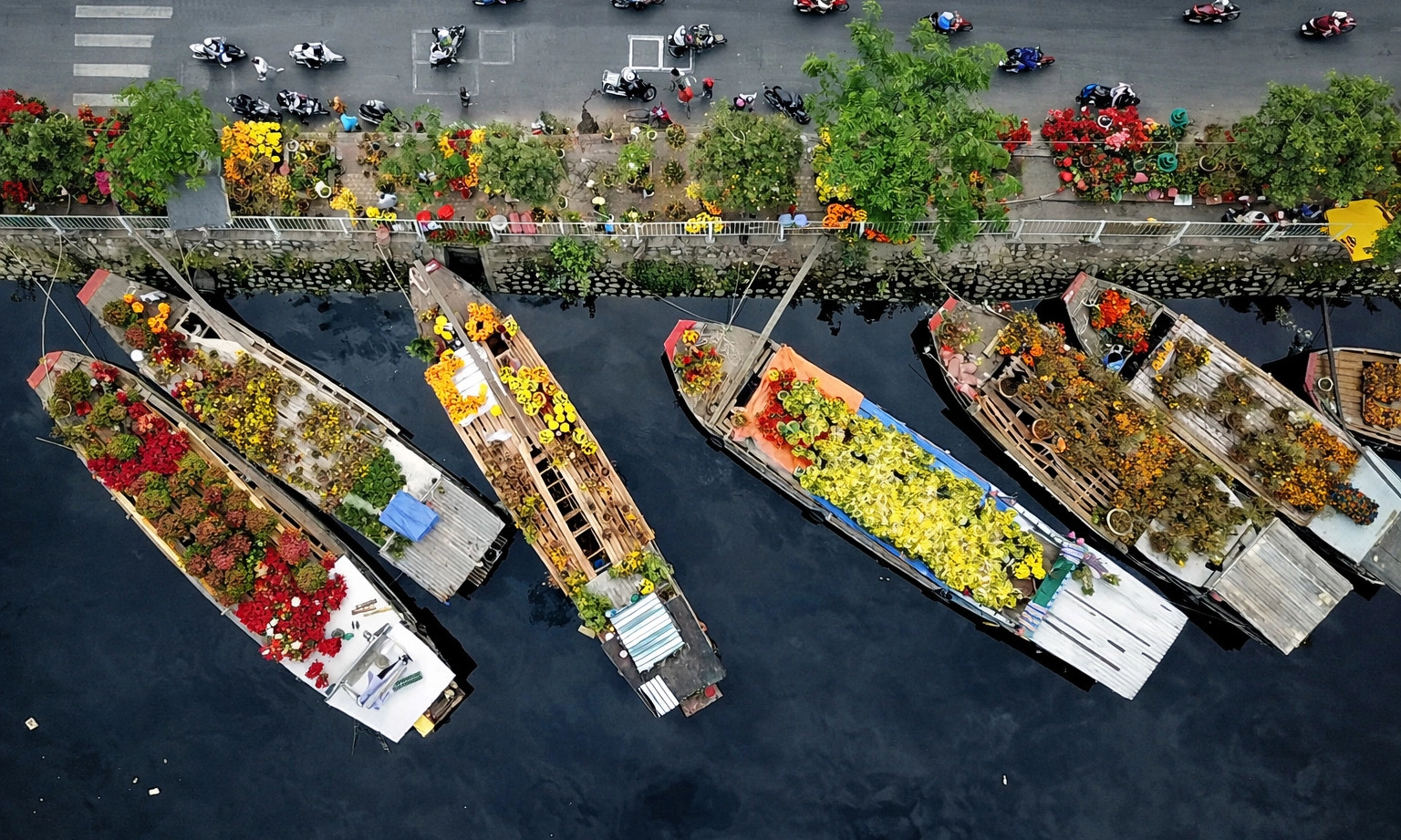 Chợ hoa Tết Bình Đông 2026: Rộn ràng sắc xuân với hơn 500 gian hàng