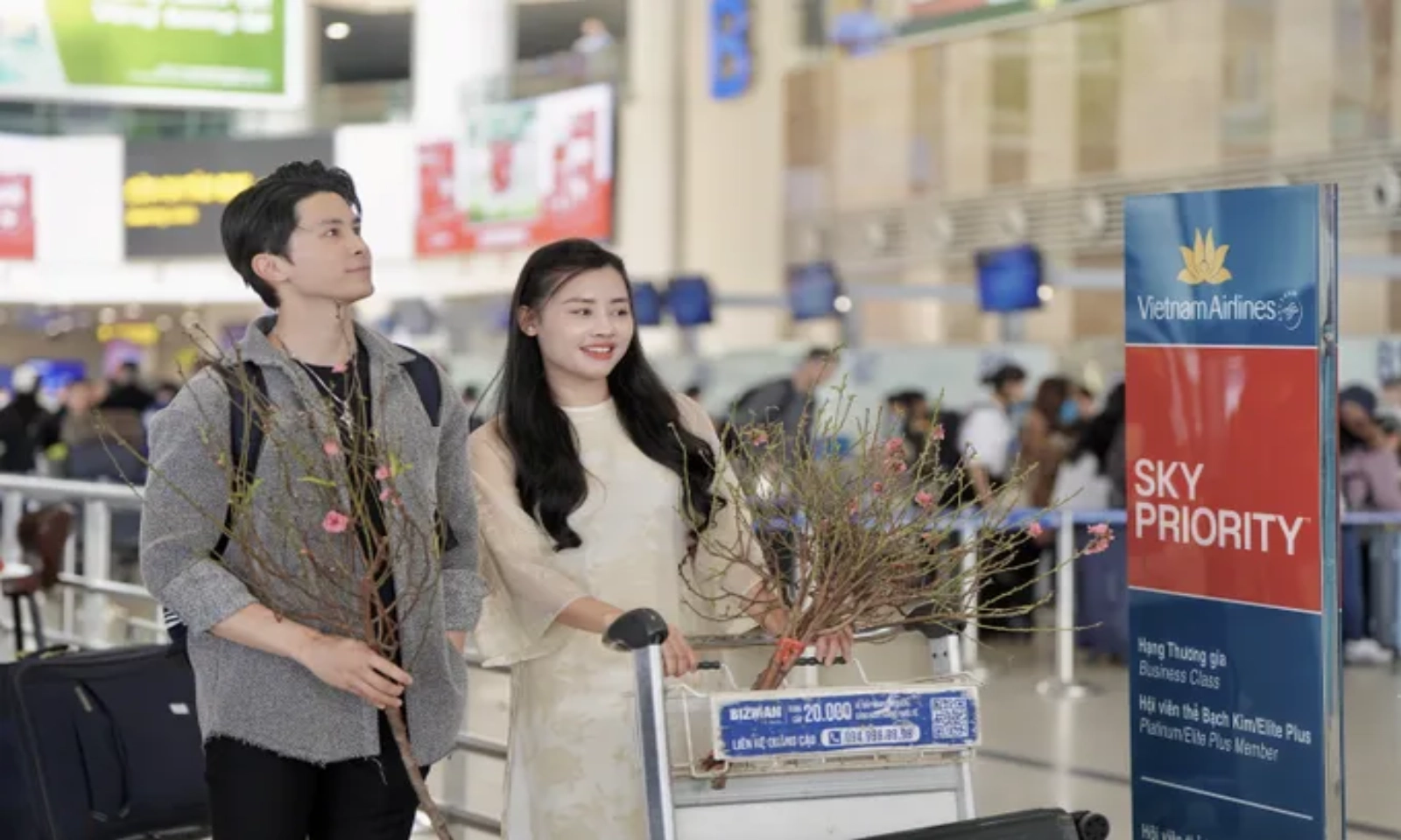 Hàng không mở dịch vụ vận chuyển đào, mai dịp Tết Bính Ngọ 2026