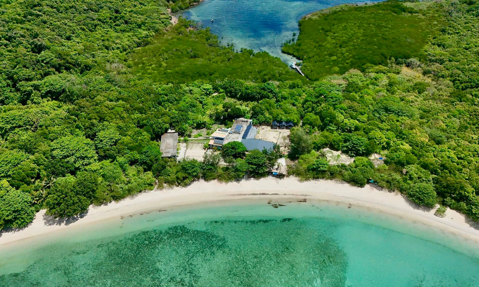 TPHCM tăng tốc tham gia thị trường tín chỉ carbon 