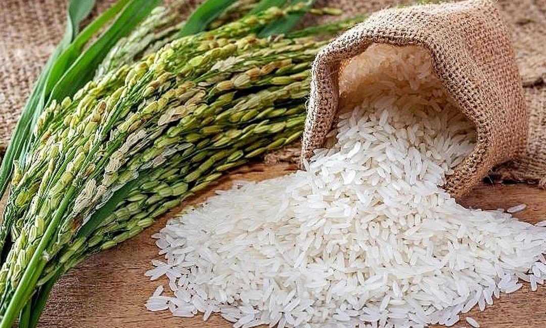 Hạt gạo - Hạt ngọc tinh khôi Việt