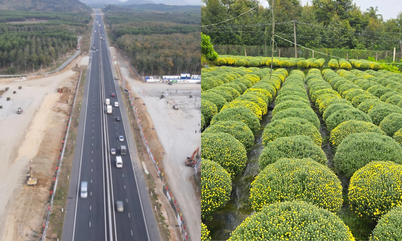 Điểm tin sáng 7/2: Cao tốc Bắc-Nam mở 21 trạm dừng nghỉ dịp Tết | Bác tin đồn về giấy nguồn gốc hoa