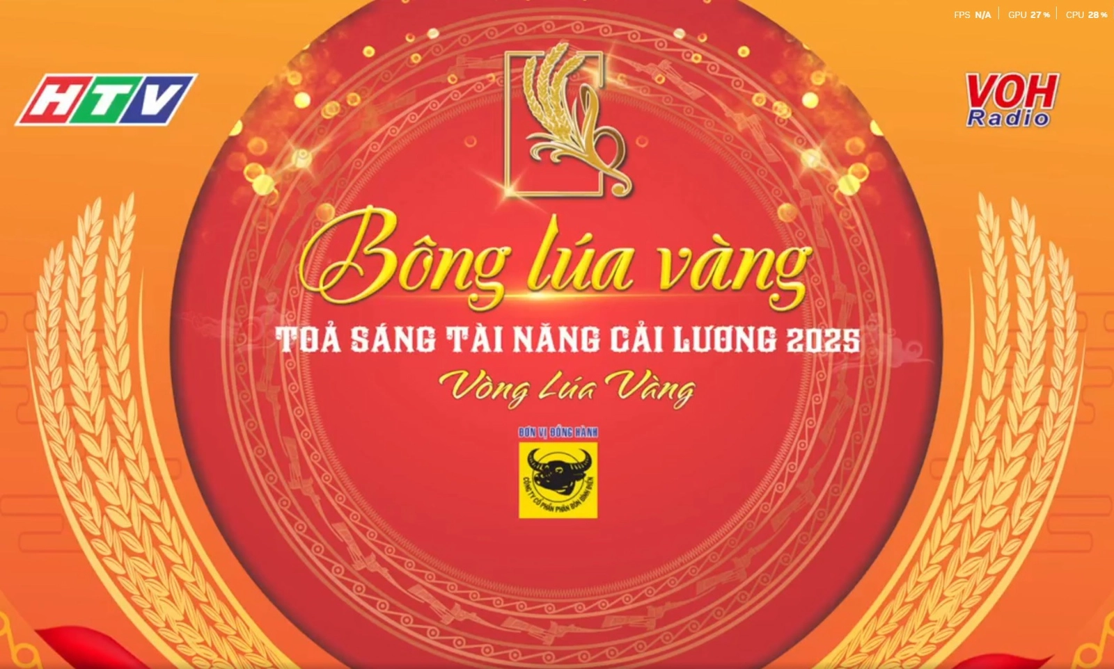 Bông lúa vàng - 7/2/2026