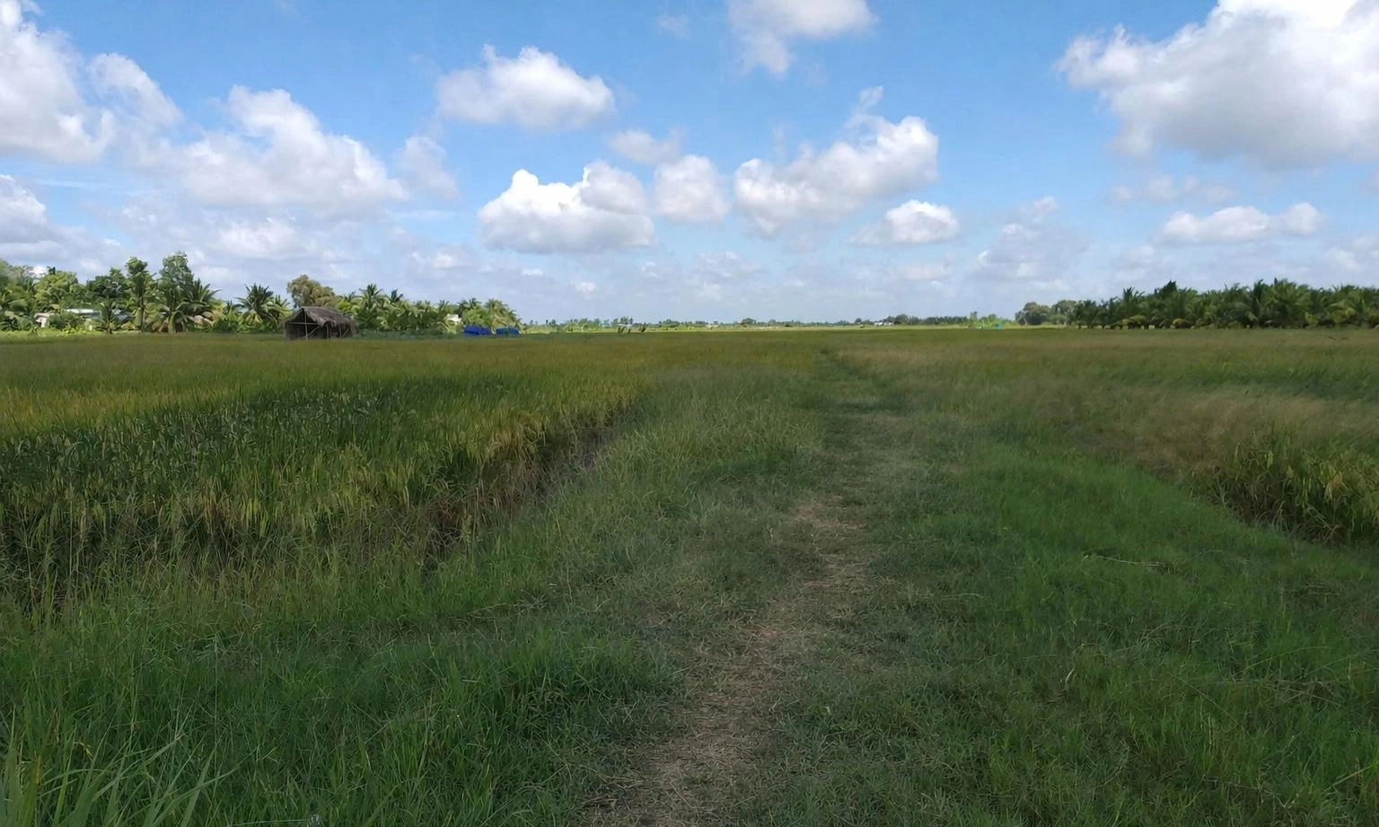 Chuyển đất nông nghiệp sang đất ở trước 2026 có thể được hoàn tiền