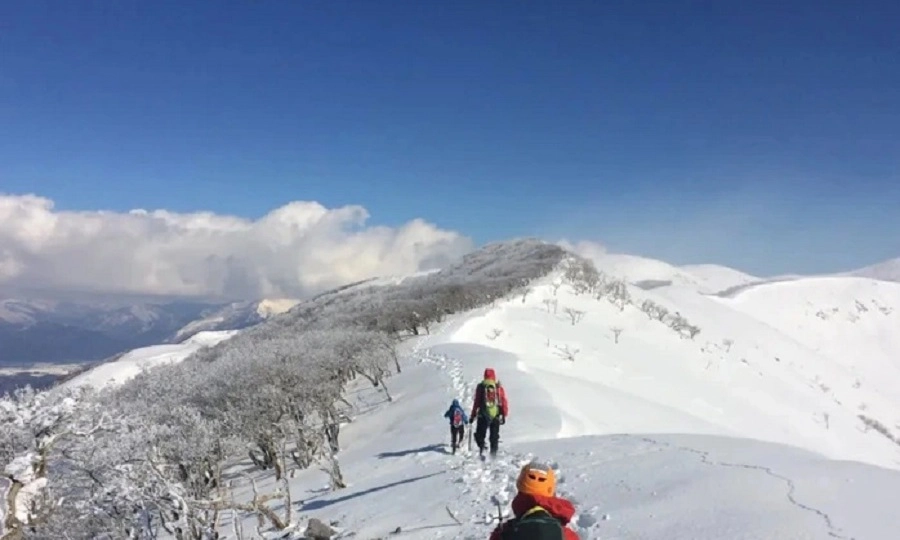 Nữ hộ lý người Việt tử vong khi leo núi một mình tại Nhật Bản