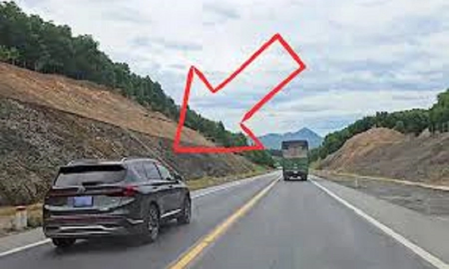 Cá nhân phải tự nộp phạt khi lái xe biển xanh vi phạm