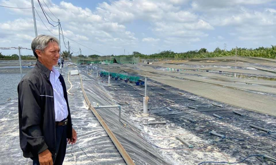 TPHCM phòng, chống dịch bệnh thủy sản theo hướng bền vững và hiệu quả 