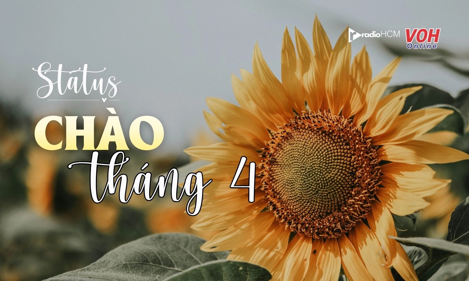 30 stt chào tháng 4 nhẹ nhàng, sâu lắng và cực thấm