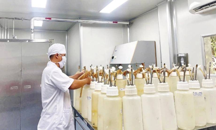 Thầm lặng cống hiến cho y học