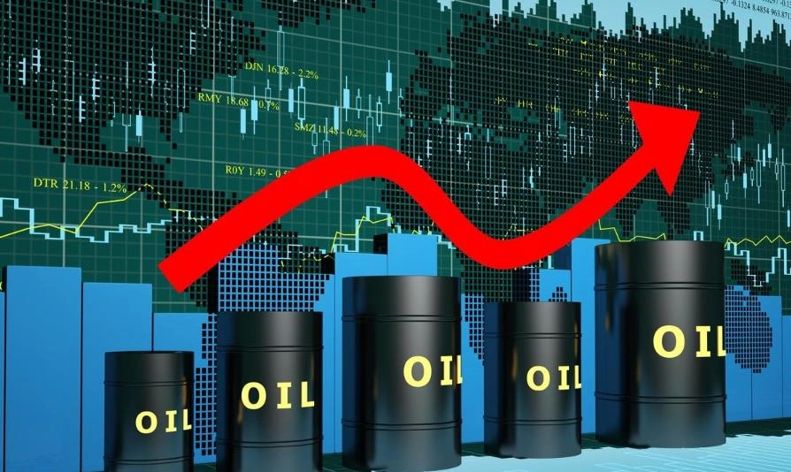 Bộ Xây dựng báo cáo giải pháp giữ tiến độ dự án trọng điểm trước biến động giá nhiên liệu