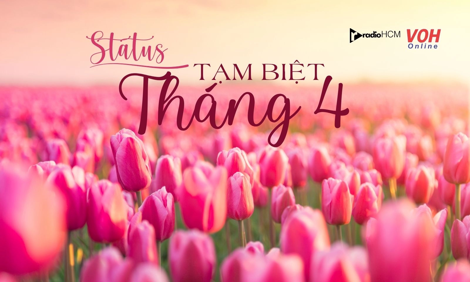 50+ stt tạm biệt tháng 4 hay, đăng là triệu like